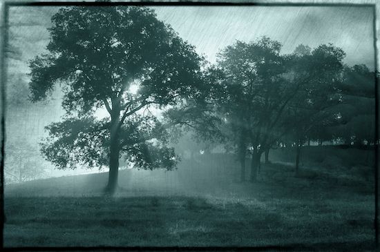 Tennessee;Field;Pasture;Oneness;Farmland;Sunrise;Trees;Fog;Teal;Aqua;haze;Fields;Beginning;Blue;Farm;Pastureland
