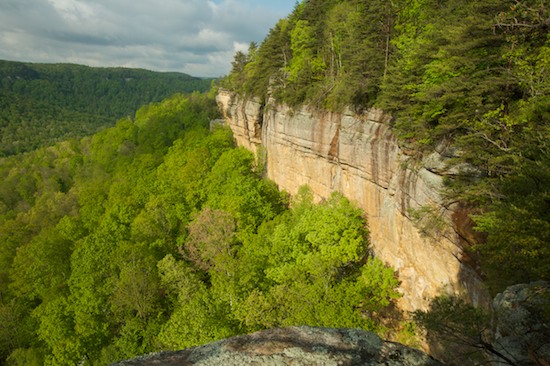 Bluff;Canyon;Cliff;Cumberland Plateau;Jamestown;Pogue Creek;Rock Face;Rock Formations;Sheer;Steep;Tennessee