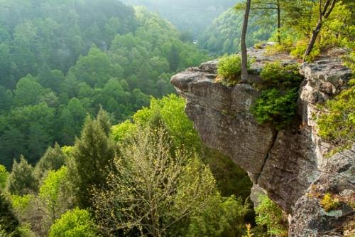Boulder;Branch;Branches;Brook;Bush;Cliff;Creek;Geological;Geology;Gorge;Herbaceous;Leafy;Mountain;Mountain Top;Mountainous;Mountains;Peak;Pinnacle;Plant;Plants;Precipice;Range;River;Riverbed;Rivers;Rock;Rocks;Shrub;Stone;Stream;Striation;Summit;Tree;Tree Trunk;Trunk;Water;Woodland;bark;flowing;overlook;trees;waterway