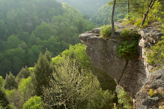 Bark;Boulder;Branch;Branches;brook;Bush;Cliff;creek;Flowing;Geological;Geology;Gorge;Herbaceous;Leafy;Mountain;Mountain Top;Mountainous;Mountains;Overlook;Peak;Pinnacle;Plant;Precipice;Range;River;Riverbed;Rivers;Rock;Rock formations;Rocks;Shrub;Stone;stream;Striation;Summit;Tree Trunk;Trees;Trunk;Water;waterway;Woodland
