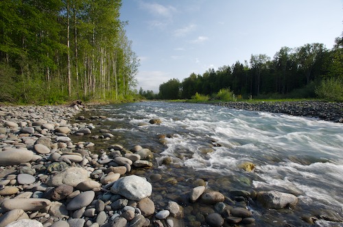 Brook;Creek;Flowing;Pour;Pouring;Rapids;River;Rivers;Rushing;Stream;Water;White Water