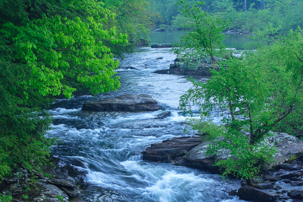 Blue;Boulder;Boulders;Branches;Brook;Brown;Calm;Cascade;Cascading;Chute;Cool;Creek;Fallen Leaves;Falling;Falls;Flow;Forest;Healing;Health care;Healthcare;Leaf;Mist;Nature;Pastoral;Pouring;River;River Bed;Riverbed;Rivers;Rivulet;Rock;Rock formations;Rocks;Rocky;Spilling;Stone;Stones;Stream;Stream Bank;Streaming;Streamlet;Tree;Veins;Water;Waterfalls;Waterscape;Woods;branch;flowing;foliage;green;landscape;leaves;limbs;misty;oneness;peaceful;plants;rapids;restful;river bank;serene;soothing;tranquil;tree limbs;trees;waterfall;waterway;wet;zen