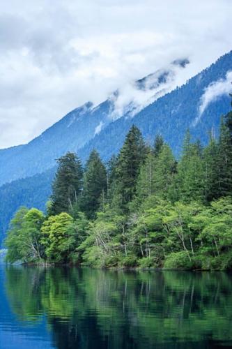 Bluff;Boreal;Botanical;Bush;Canyon;Cliff;Color;Colorful;Concepts;Cumberland Plateau;Ferns;Foliage;Forest;Habitat;Humid;Lake;Lakes;Leaf;Leaves;Logging;Luxuriant;Mirror;Moss;Natural;Nature;Oneness;Outdoors;Photojournalism;Plants;Pool of Water;Rain forest;Rainbow;Rainforest;Reflections;Rock Face;Rock Formations;Sheer;Steep;Stock categories;Temperate;Timberland;Tree;Tropical;Water;Weather;Wet;Woodland;Woods;bark;trees;vegetation
