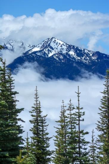 Blue;Boulder;Branches;Brown;Calm;Cloud;Cloud Formation;Clouds;Fog;Healing;Health care;Healthcare;High;Ledge;Mist;Mountain;Mountain Side;Mountain Top;Mountainous;Mountains;Nature;Pastoral;Peak;Photojournalism;Pinnacle;Power;Precipice;Range;Rock;Rock Face;Rock formations;Rocks;Scenic View;Scenics;Summit;Tan;Tree;Vertical;cliff;foggy;green;haze;landscape;limbs;mist;misty;oneness;peaceful;plants;powerful;restful;serene;sky;soothing;tranquil;tree limbs;tree trunk;trees;trunk;zen