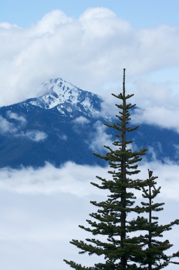 Boulder;Cliff;Contour;Form;High;Ledge;Mountain;Mountain Top;Nature;Outline;Peak;Power;Powerful;Precipice;Profile;Rock Formations;Rocks;Scenic View;Scenics;Shadow;Shape;Silhouette;Summit;Tree;Vertical