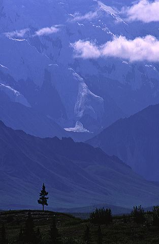 Ledge;Mountain;Cliff;Precipice;Peak;Mountain Top;Rock Formations;Rocks;Boulder;Nature;Vertical;High;Power;Powerful;Scenic View;Scenics;Summit;Oneness;Fog;Mist;Damp;Misty;Foggy;Obscured