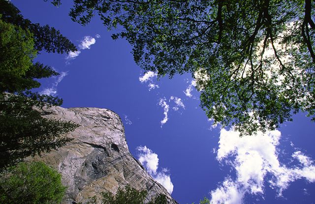 Ledge;Mountain;Cliff;Precipice;Peak;Mountain Top;Rock Formations;Rocks;Boulder;Nature;Vertical;High;Power;Powerful;Scenic View;Scenics;Summit;Rock;Boulders;Stones;Pebble;Pebbles;Stone;Abstract;Abstractions;Patterns;Shapes;Textures;Tree Trunk;Trees;Bush;Shrub;Herbaceous;Woodland;Branch;Branches;Leafy;Bark;Trunk;Plant;Clouds