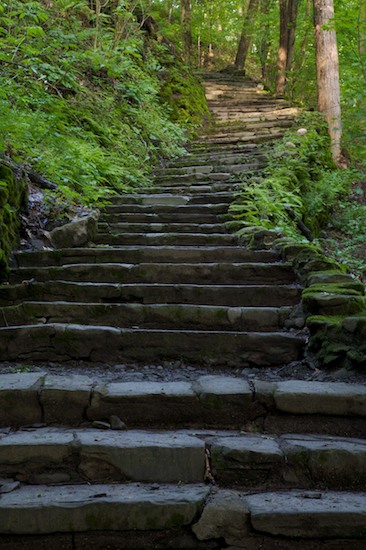 Fillmore Glen State Park;Footpath;Forest;Journey;Moravia;Mountain;Mountain Top;Mountainous;Mountains;New York;Path;Pathway;Peak;Pinnacle;Precipice;Range;Route;Stair;Stairway;Summit;Timber;Timberland;Trail;Travel;Walk;Wood;Woodland;Woods