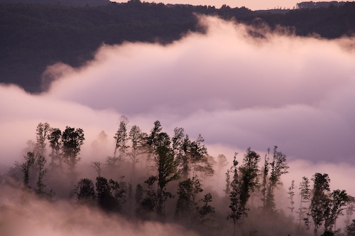 close of day;dusk;evening;eventide;Fog;Foggy;last Light;Mist;Misty;Mountain;Mountain Top;Mountainous;Mountains;Norma;Northern Cumberlands;Peak;Pinnacle;Precipice;Range;Sky;Summit;sun;Sundquist Wildlife Management Area;sunset;Tennessee