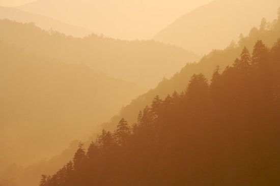 Bark;Boulder;Cliff;Dusk;Evening;evening;Forest;Great Smoky Mountains National Park;High;Leaf;Leaves;Ledge;Mountain;Mountain Top;Natural;Nature;Nightfall;Outdoors;Peak;Plants;Power;Powerful;Precipice;Rock Formations;Rocks;Scenic View;Scenics;Summit;Sundown;Sunset;Tennessee;Trees;Twilight;Vertical;Woodland;Woods