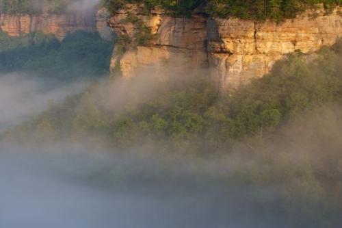 Rock Formations;Rocks;Sun-up;Tree;Trees;Valley;Obscured;Forest;Misty;First Light;Daybreak;Fog;Leaves;Cumberland Plateau;Foggy;Tennessee;Mist;Leaf;Nature;Dawn;Fall Scenes;Cliff;Break of Day;Morning;Plants;Seasons;Haze