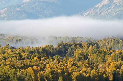 Fall Scenes;Forest;Leaf;Leaves;Nature;Trees;Autumn;Tree Trunk;Bush;Shrub;Herbaceous;Woodland;Branch;Branches;Leafy;Bark;Trunk;Plant;Oneness;Fog;Mist;Damp;Misty;Foggy;Obscured;Ledge;Mountain;Cliff;Precipice;Peak;Mountain Top;Rock Formations;Rocks;Boulder;Vertical;High;Power;Powerful;Scenic View;Scenics;Summit