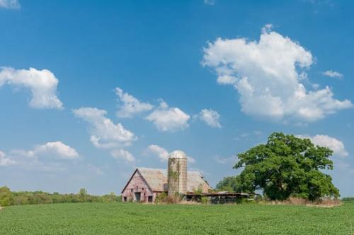 Agriculture;Architecture;Barn;Blue;Color;Cultivate;Estate;Family Farm;Farm;Farming;Garden;Green;Plantation;Spring Hill;Tennessee;United States;ranch