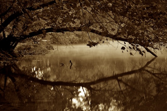 Black and White;Break of Day;brook;creek;Dawn;Daybreak;First Light;Flowing;Fog;Foggy;Haze;Mist;Misty;Morning;Obscured;Reflection;Reflections;River;Riverbed;Rivers;Sepia;stream;Sun-up;Sunrise;Water;waterway