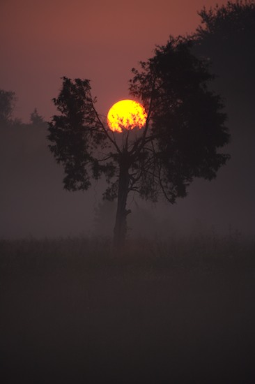 Agriculture;Architecture;Barn;Beams;Cultivate;Damp;Estate;Family Farm;Farm;Farming;Fog;Foggy;Garden;Illuminate;Light;Luminance;Mist;Misty;Obscured;Oneness;Plantation;Ranch;Rays;Sun;Sunbeam;Sunlight;Sunrise