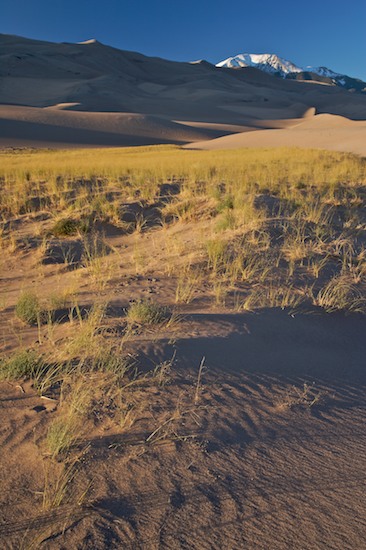 Alamosa;Colorado;Grass;Great Sand Dunes National Park and Preserve;Mountain;Ripple;Sand;Sand Dune;Sky;Snow;snow capped mountains