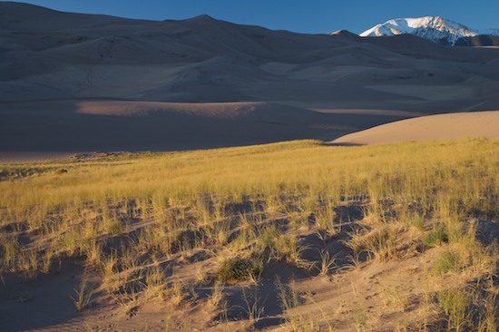 Alamosa;Colorado;Grass;Great Sand Dunes National Park and Preserve;Mountain;Ripple;Sand;Sand Dune;Sky;Snow;snow capped mountains