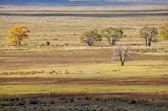 Autumn;Brown;Fall;Fence;Great Sand Dunes National Park and Preserve;Green;Plain;Sage Brush;Tan;Tree;Valley;Yellow
