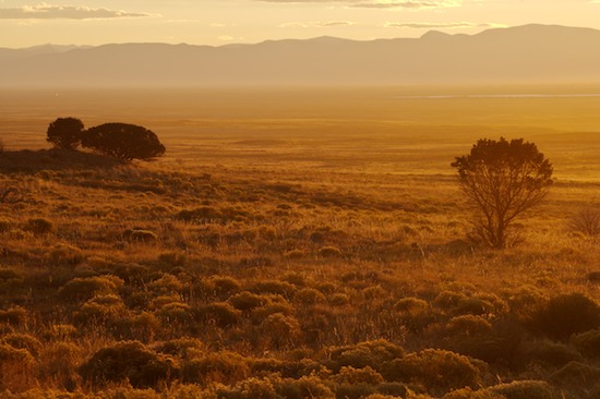 Bark;Beams;Branch;Branches;Break of Day;Bush;Dawn;Daybreak;Daylight;Dusk;Evening;First Light;Great Sand Dunes National Park and Preserve;Herbaceous;Leafy;Light;Morning;Nightfall;Plant;Rays;Shrub;Streaming;Sun rays;Sun-up;Sundown;Sunlight;Sunrise;Sunset;Sunshine;Tree Trunk;Trees;Trunk;Woodland