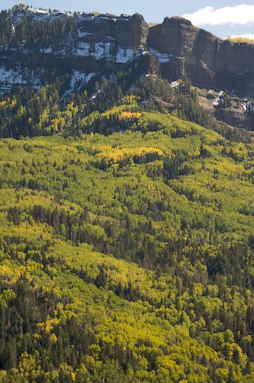 Autumn;Blue;Cloud;Cloud Formation;Clouds;Colorado;Fall;Forest;Green;Sky;Timber;Timberland;Weather;Wolf Creek Pass;Wood;Woodland;Woodlands;Woods;Yellow