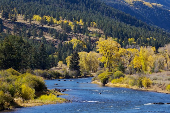 Autumn;Bark;Blue;Branch;Branches;brook;Bush;Colorado;creek;Fall;Flowing;Green;Herbaceous;Leafy;Plant;River;Riverbed;Rivers;Shrub;Silver Thread Scenic Byway;South Fork;stream;Tree Trunk;Trees;Trunk;Water;waterway;Woodland;Yellow