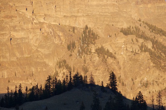 Abstract;Abstractions;Bark;Branch;Branches;Bush;Contour;Form;Herbaceous;Leafy;Mountain;Mountain Top;Mountainous;Mountains;Outline;Patterns;Peak;Pinnacle;Plant;Precipice;Profile;Range;Shadow;Shape;Shapes;Shrub;Silhouette;Summit;Textures;Tree Trunk;Trees;Trunk;Woodland