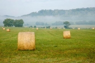 Agriculture;Bale;Brown;Farm;Fields;Green;Hay;Hill;Hills;Hillside;Mist;Obscured;R