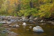 Autumn;flow;Gray;Brook;Rocky;river;Vermont;Brown;Tree;Boulders;Forest;Horizontal