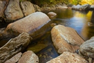 Fall;Riverbed;Stream;Reflection;Stones;Geology;Water;Reflections;Plant;Creek;Riv