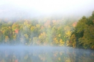 reflection;Autumn;mist;Gold;Tan;Orange;lake;Forest;foggy;Vermont;Woodlands;pond;