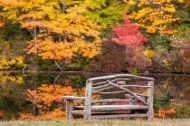 Autumn;Brown;Calm;Chair;Fall;Forest;Forested;Gold;Harriman-State-Park;Healing;He