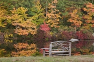 Chair;Foliage;Forest;Gold;Gray;Green;Harriman-State-Park;Lake;Leaf;Leafy;Leaves;