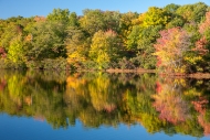 Autumn;Blue;Calm;Fall;Forest;Forested;Healing;Horizontal;Mirror;Nature;New-Jerse