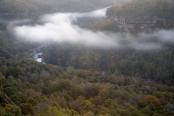 Cumberland-Plateau;Haze;Obscured;Mist;Misty;Foggy;Fog;Wood;Woodland;Woods;Timber