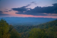Trunk;Mountain-Top;Scenic-View;Wood;Sky;Blue-Sky;Woodlands;Summit;Amicalola-Stat