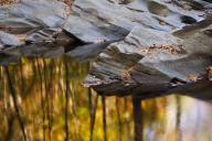 Bark;Boulder;Branch;Branches;Brook;Chatsworth;Creek;Fall-Color;Geological;Geolog