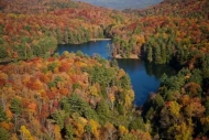 Water;Fall-Scene;Plant;Trunk;Hilltop;Georgia;Hills;Lake;Holly-Creek;Fall;Aerial;