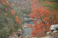 Alabama;Autumn;Bark;Bluff;Branch;Branches;brook;Bush;Cliff;Crag;creek;Escarpment