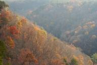 Alabama;Autumn;Bluff;Break-of-Day;Cliff;Crag;Dawn;Daybreak;Escarpment;Fall;First