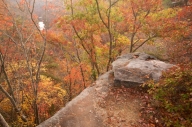 Alabama;Autumn;Bark;Bluff;Branch;Branches;Brook;Cliff;Crag;Creek;Escarpment;Fall