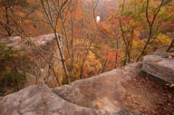 Alabama;Autumn;Bark;Bluff;Branch;Branches;Brook;Cliff;Crag;Creek;Escarpment;Fall