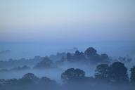 Sunrise;Mist;Morning;Renewal;Trees;Valley;Forest;Fog