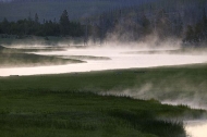 Yellowstone-National-Park;Stream;River;Mist;Fog;Scenic;Trees;Tree;Grass;Wyoming