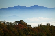 Valley;Cherohala-Skyway;Clouds;Cliff;Mushrooms;Sky;Trees