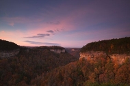 Nature-Conservancy;Tennessee;Cumberland-Plateau;Fall-Scenes;Leaves;Trees;Rock-Fo