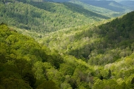 Cumberland-Plateau;Canyon;Cliff;Bluff;Rock-Face;Rock-Formations;Sheer;Steep;Tenn
