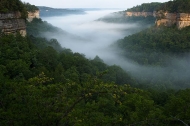 Cumberland-Plateau;Canyon;Cliff;Bluff;Rock-Face;Rock-Formations;Sheer;Steep;Rock