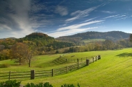 Woodland;Beams;Rays;Trees;Tree-Trunk;Luminance;Blue;Hills;Bush;Pasture;Herbaceou