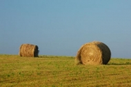 Pasture;Green;Blue;Agriculture;Farmland;Pastureland;Fields;Barns;Farm;Tan;Hay-Ba