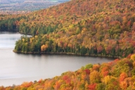 Groton-State-Forest;Woodlands;New-England;Autumn;Vermont;Mountainous;Woods;Yello
